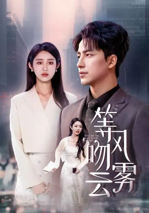 雾港迷局第二季悬疑剧集海报